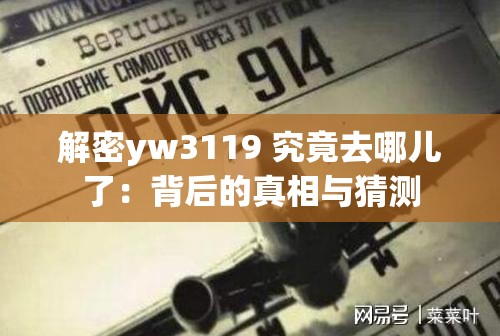 解密yw3119 究竟去哪儿了：背后的真相与猜测