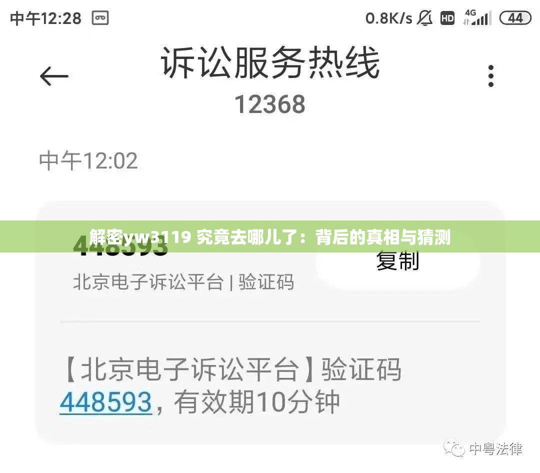 解密yw3119 究竟去哪儿了：背后的真相与猜测