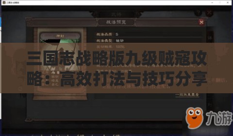 三国志战略版九级贼寇攻略：高效打法与技巧分享