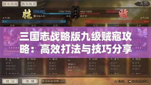 三国志战略版九级贼寇攻略：高效打法与技巧分享