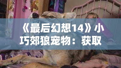 《最后幻想14》小巧郊狼宠物：获取方式与特有魅力解析