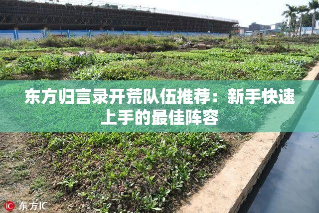 东方归言录开荒队伍推荐：新手快速上手的最佳阵容